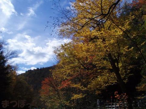 摜(480x359)