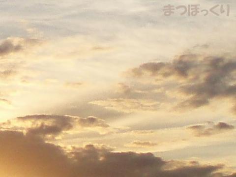 摜(480x360)Eg摜(500x375)