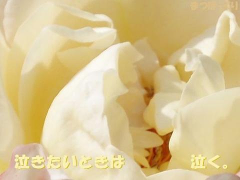 摜(480x360)