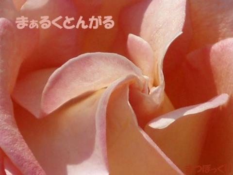 摜(480x360)