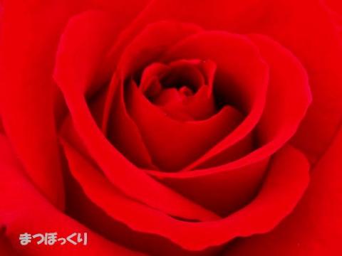 摜(480x360)