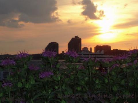 摜(480x360)