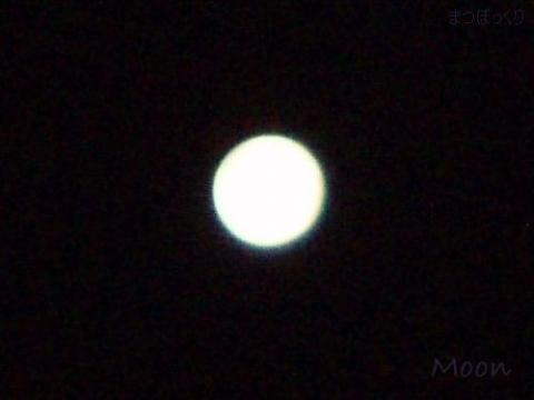 摜(480x360)