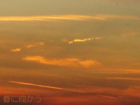 摜(480x360)