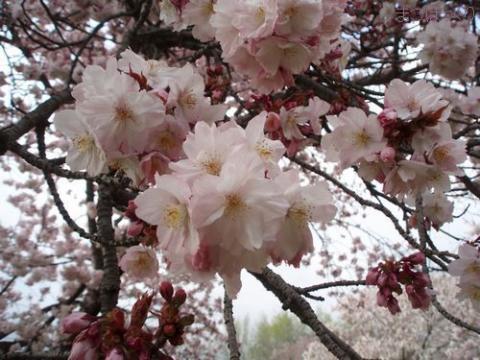摜(480x360)