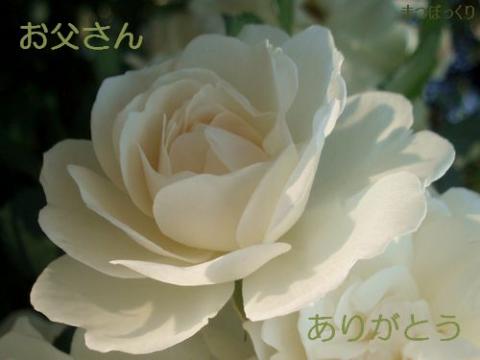 摜(480x360)
