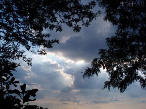 Midsummer