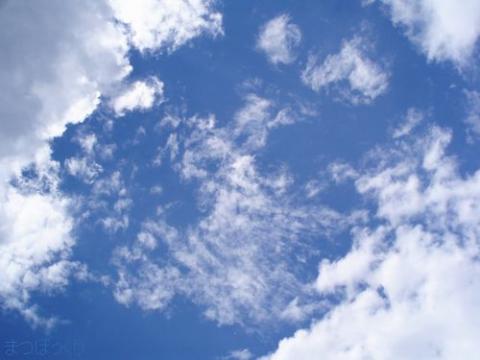 摜(480x360)