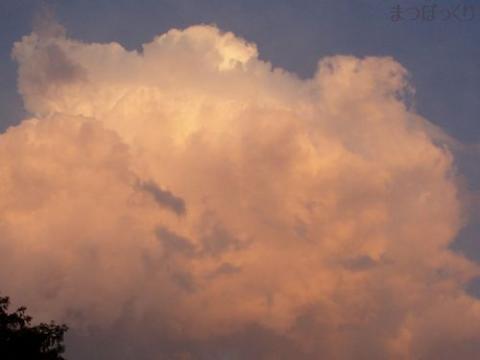 摜(480x360)