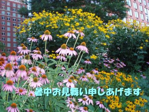 摜(480x360)Eg摜(500x375)