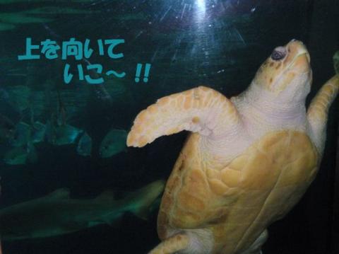 画像(480x359)