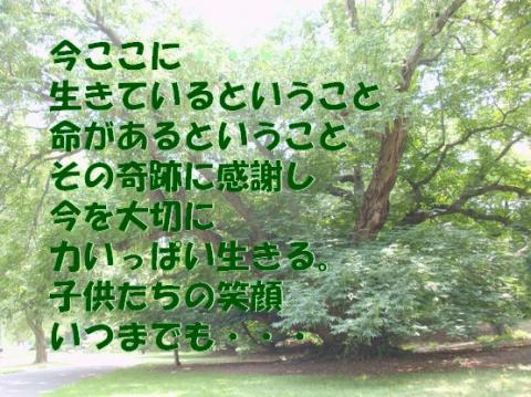 画像(480x359)