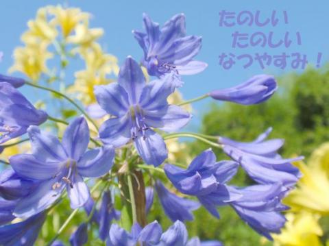 摜(480x359)