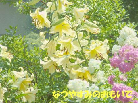 摜(480x359)