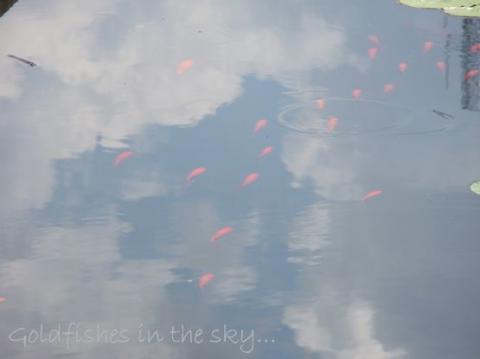 摜(480x359)