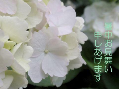 摜(480x359)